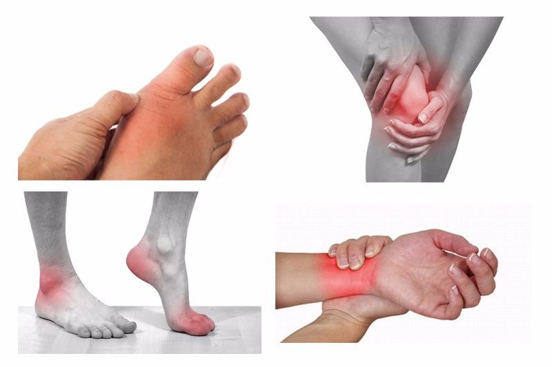 Thư mục vụ Mùa Chay 2026 của Hội đồng Giám mục Việt Nam